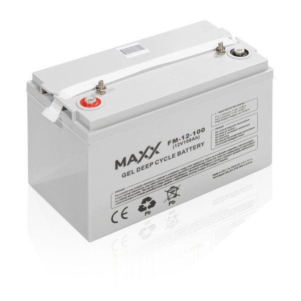 Акумулятор гелевий 4SUN MAXX GEL DEEP CYCLE 100Ah 12V 99488884 фото
