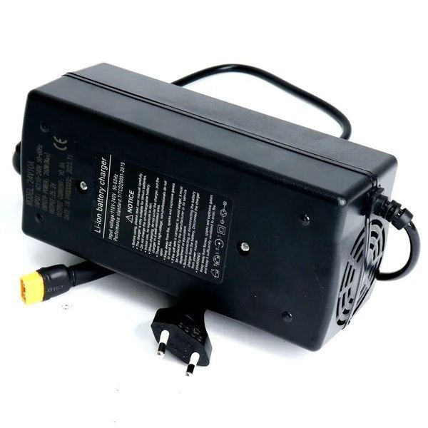 Зовнішній блок живлення зарядна станція 6S Li-ion 22,2В (18-25,2В) 57563739 фото
