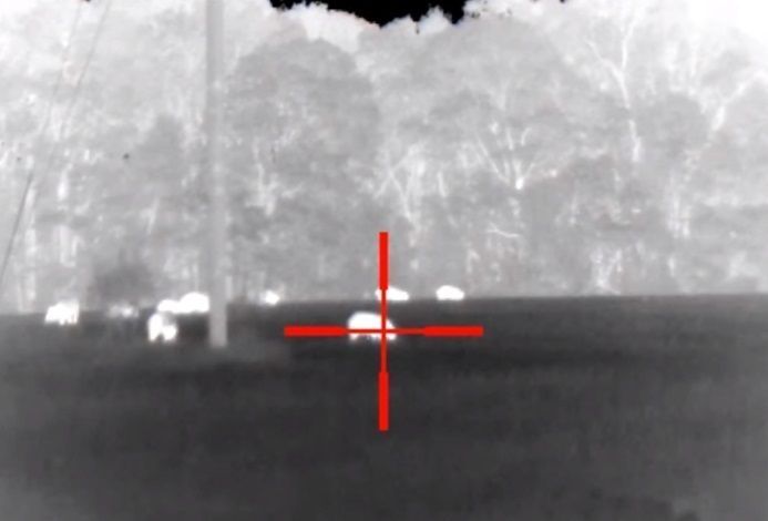 Тепловізійний приціл Mars LT, 50mm, 5-10x, 320x240, 12&mu;m, 60Hz, Thermal Rifle Scope 1678485448  фото